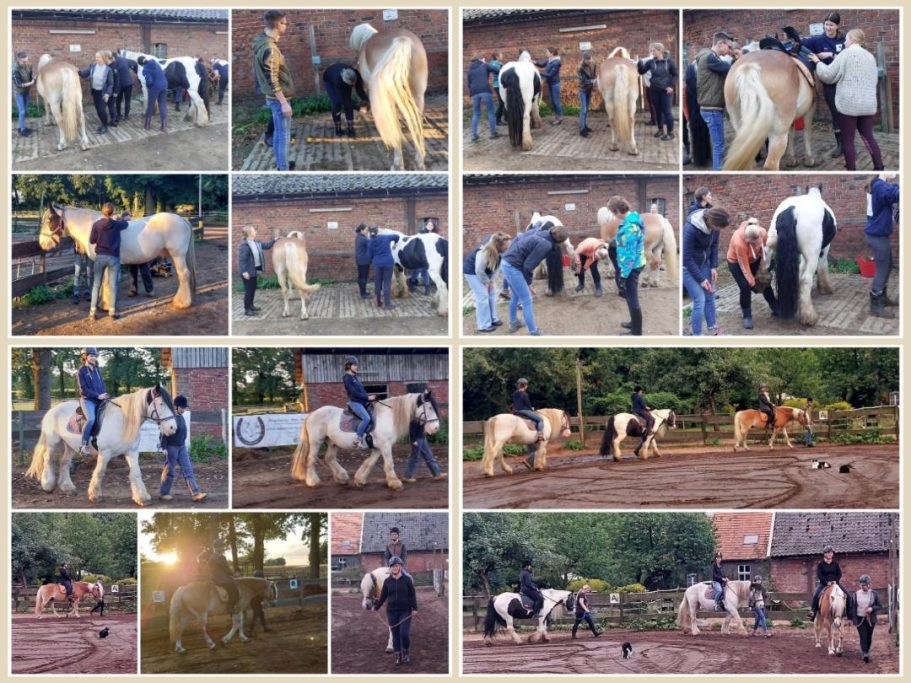 Erwachsenen Reitkurs 2025