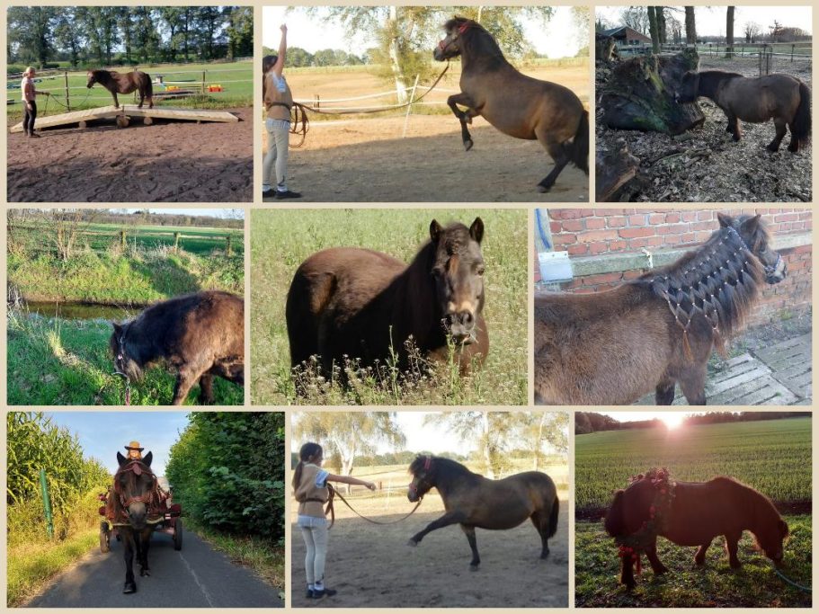 Unsere Susi