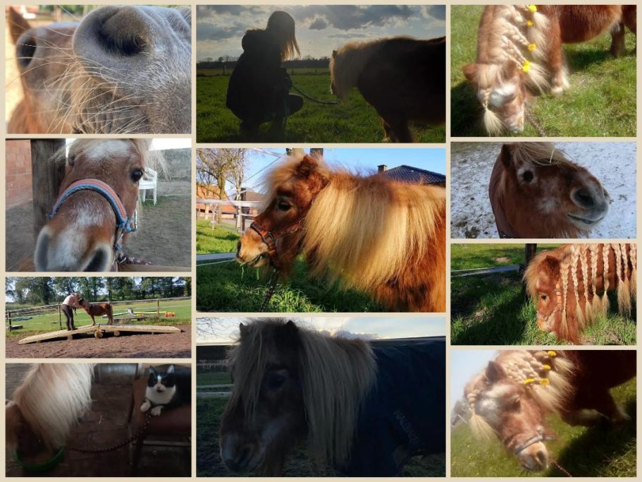 Unser Herkules