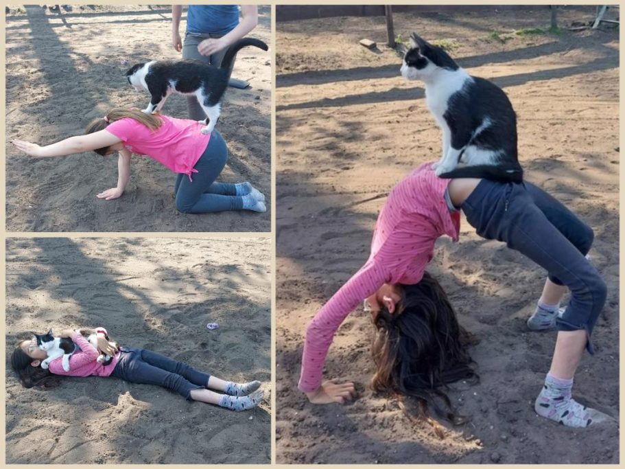tiergestütztes Yoga