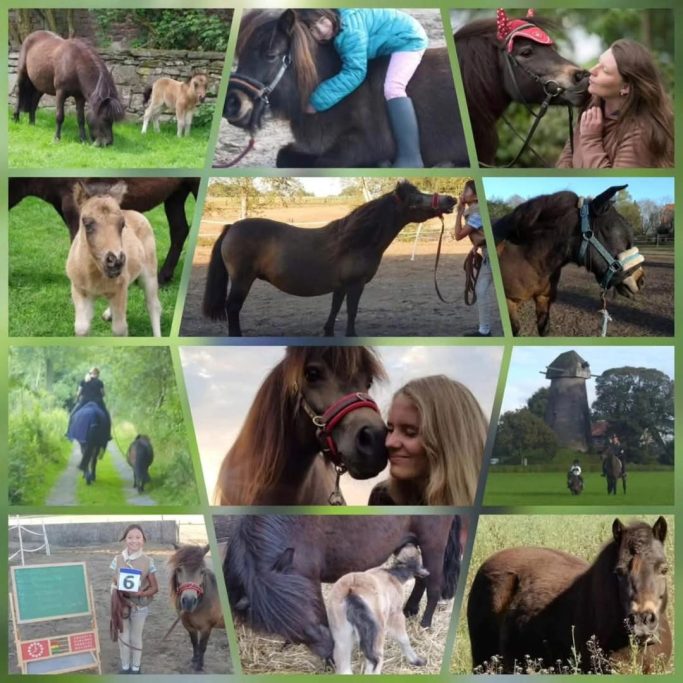 Unsere Susi
