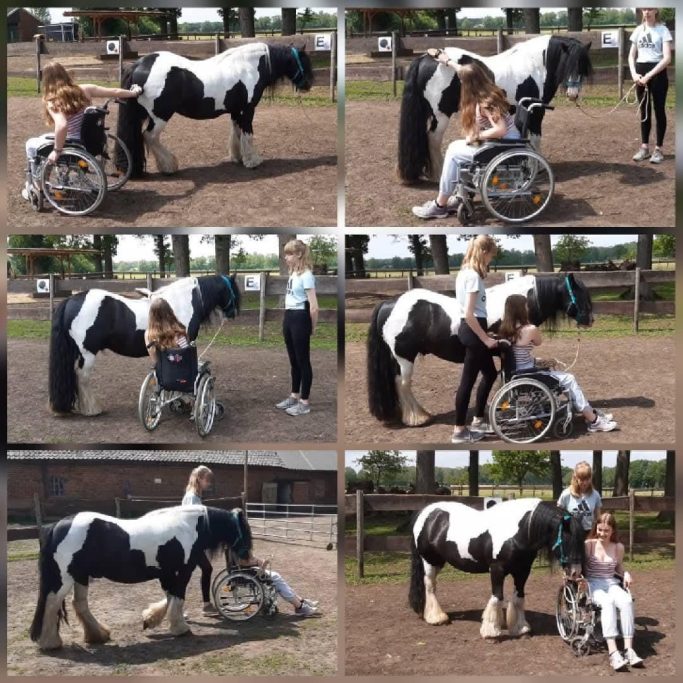 Reittherapie