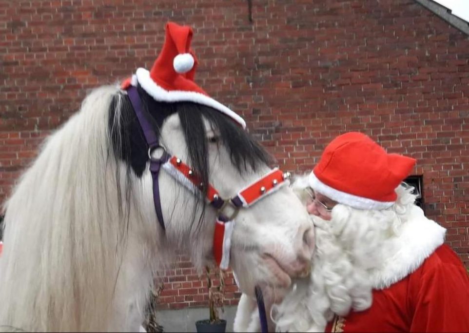 Der Weihnachstmann 2019