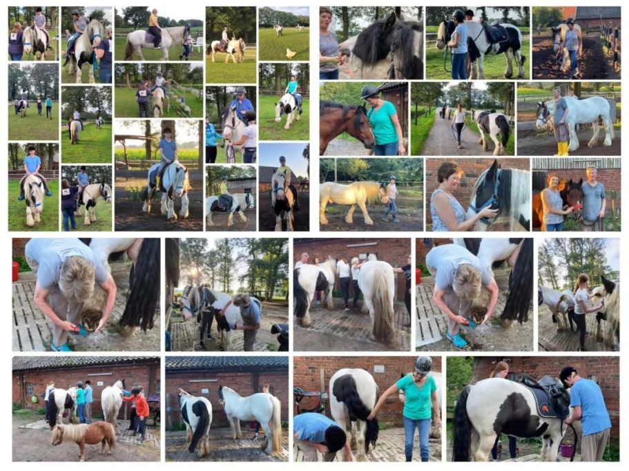 Erwachsenen Reitkurs 2023